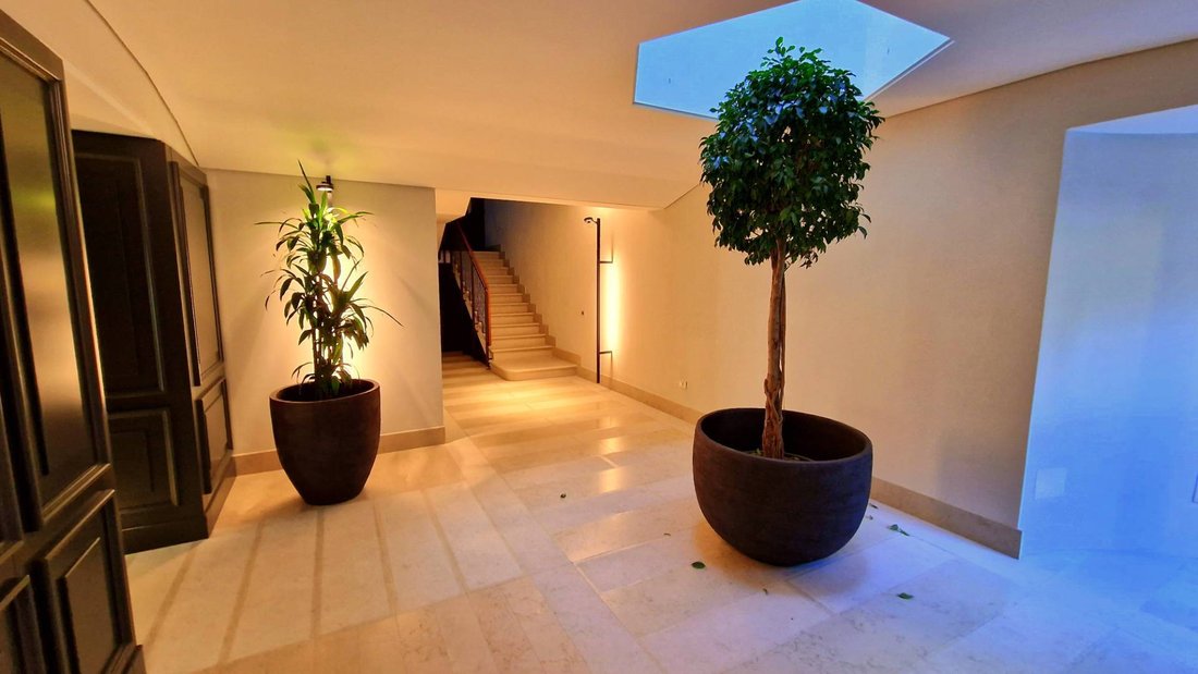 Apartment in Cathedral - Piazza dei Signori, Treviso, Italy 1 - 16555560