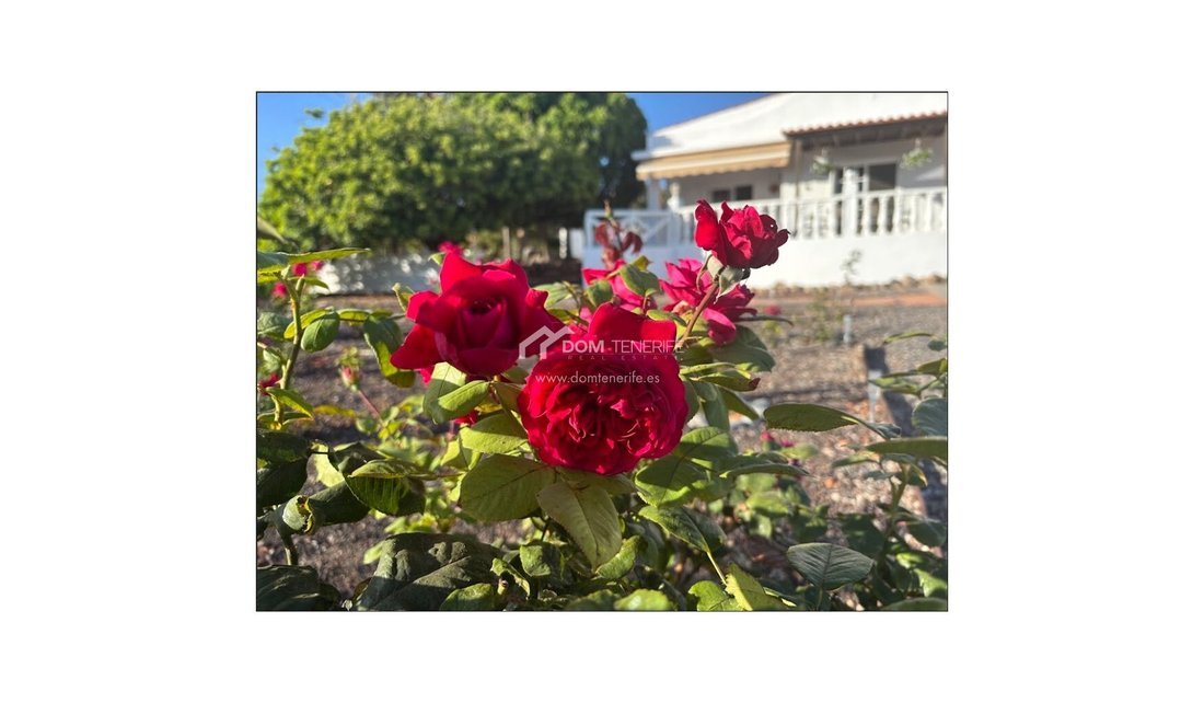 Country House in Guia de Isora, Canary Islands, Spain 5 - 16711093