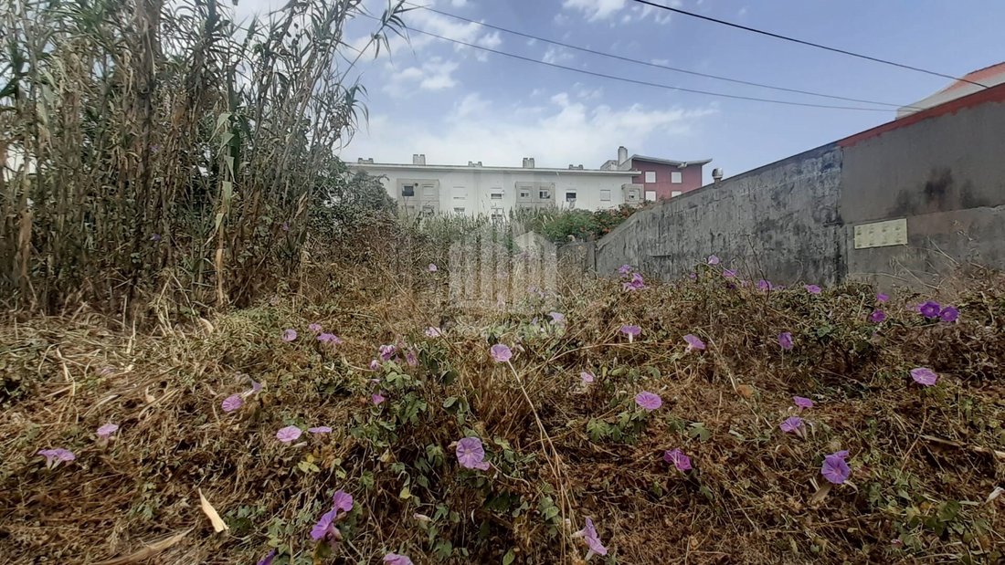 Land in Ajuda, Lisbon, Portugal 2 - 13407977