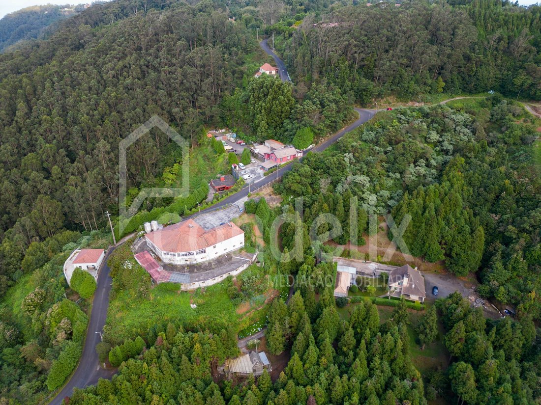 House in Santo Antonio da Serra, Madeira, Portugal 5 - 16110753