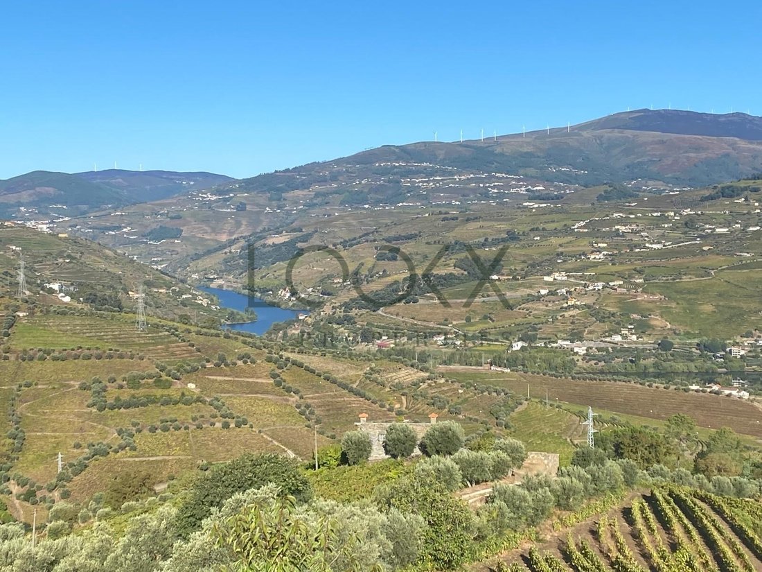 Finca in Sao Cipriano e Vil do Souto, Viseu District, Portugal 1 - 16704285