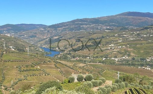 Finca a Sao Cipriano e Vil do Souto, Distretto di Viseu, Portogallo 1