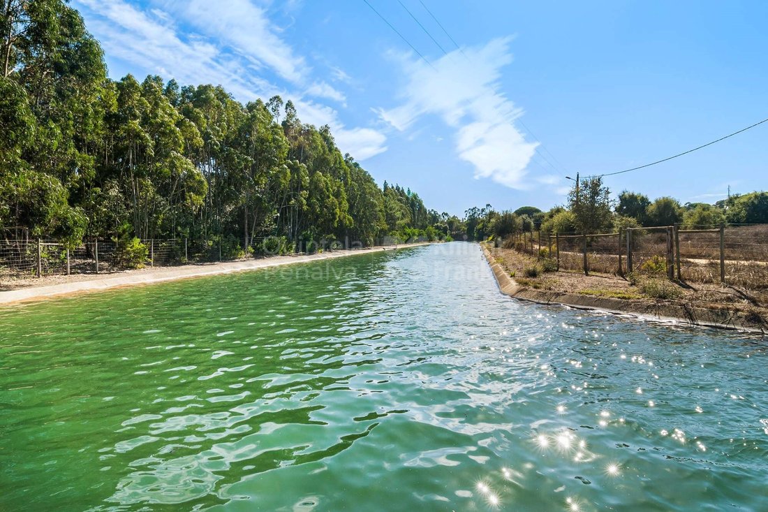Land in S.Teotónio, Beja District, Portugal 4 - 15015517
