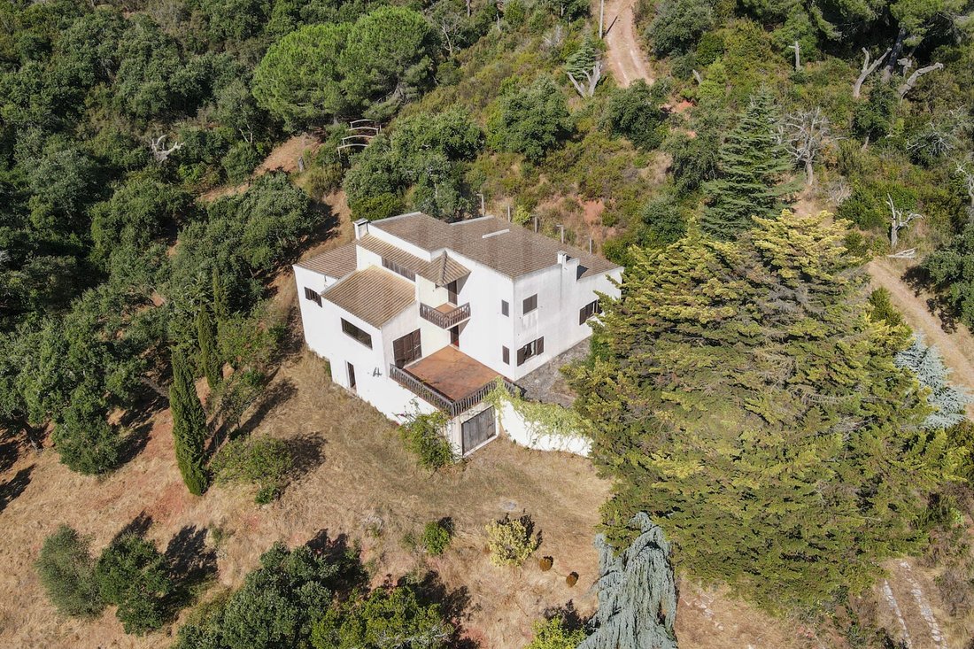 Finca in Palmela, Setubal, Portugal 4 - 16164469