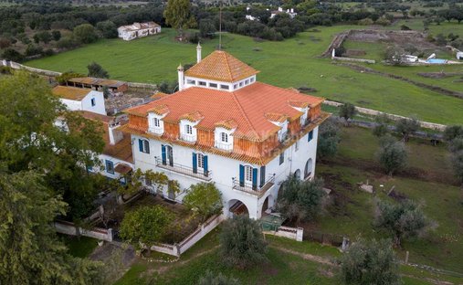 Finca in Evora (Sao Mamede, Se, Sao Pedro e Santo Antao), Évora District, Portugal 1