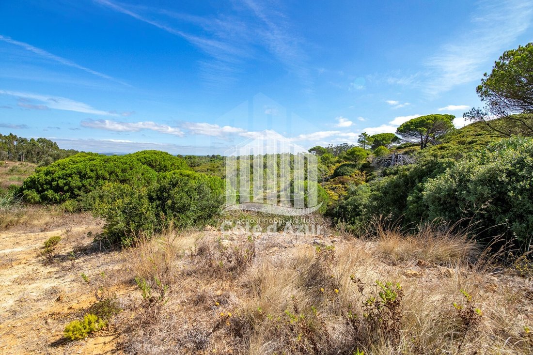 Land in Sesimbra (Castelo), Setubal, Portugal 5 - 14605158