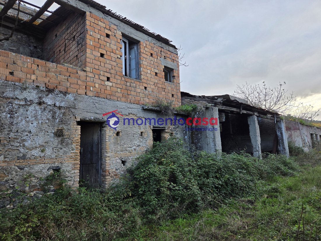 Land in Seminara, Calabria, Italy 4 - 16713799