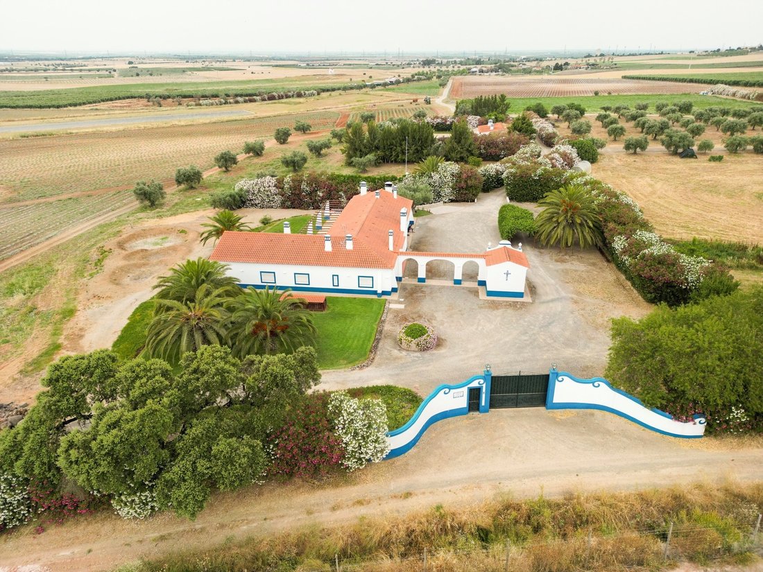 Casa a Ferreira do Alentejo e Canhestros, Distretto di Beja, Portogallo 1 - 14995645