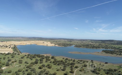 Terreno a Alcáçovas, Distretto di Évora, Portogallo 1