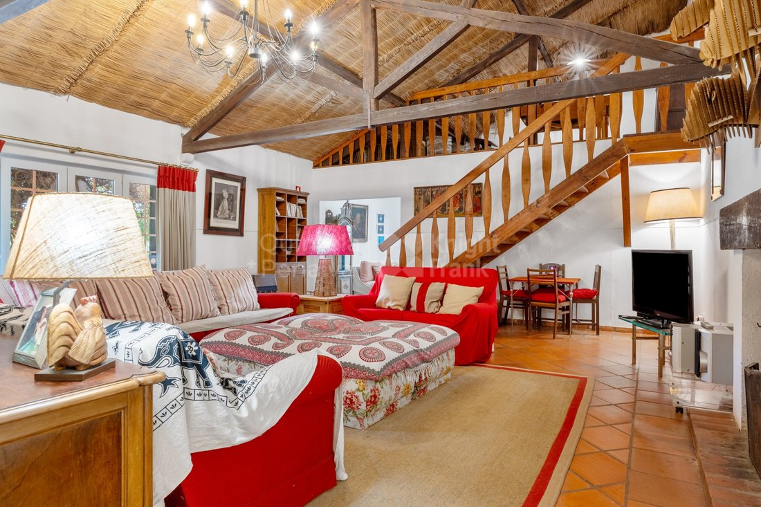 Finca in Almeirim, Santarem District, Portugal 3 - 16472768