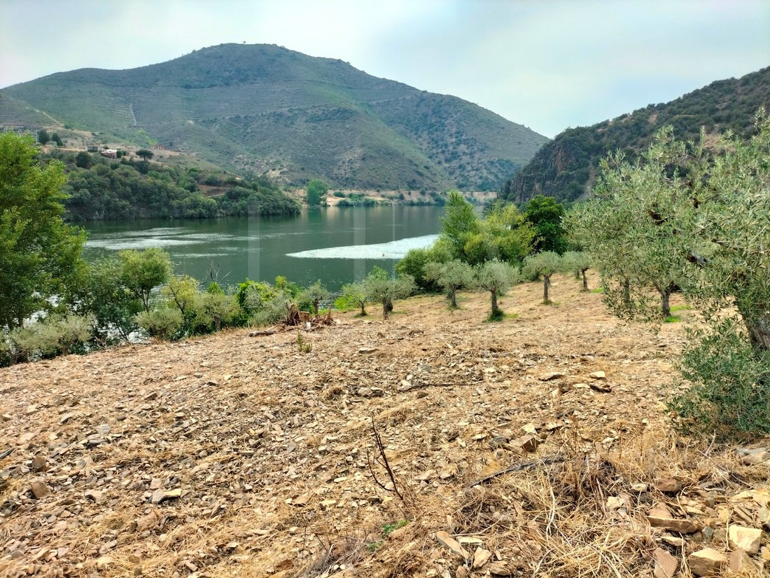 Land in Ligares, Braganca District, Portugal 1 - 12274388