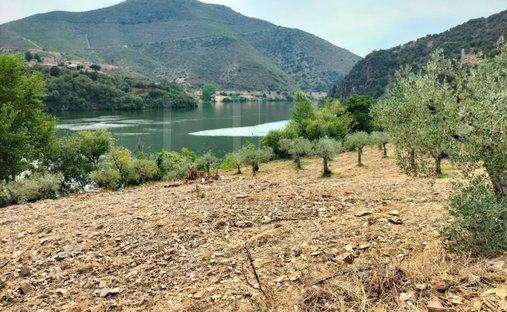 Terreno a Ligares, Distretto di Braganza, Portogallo 1