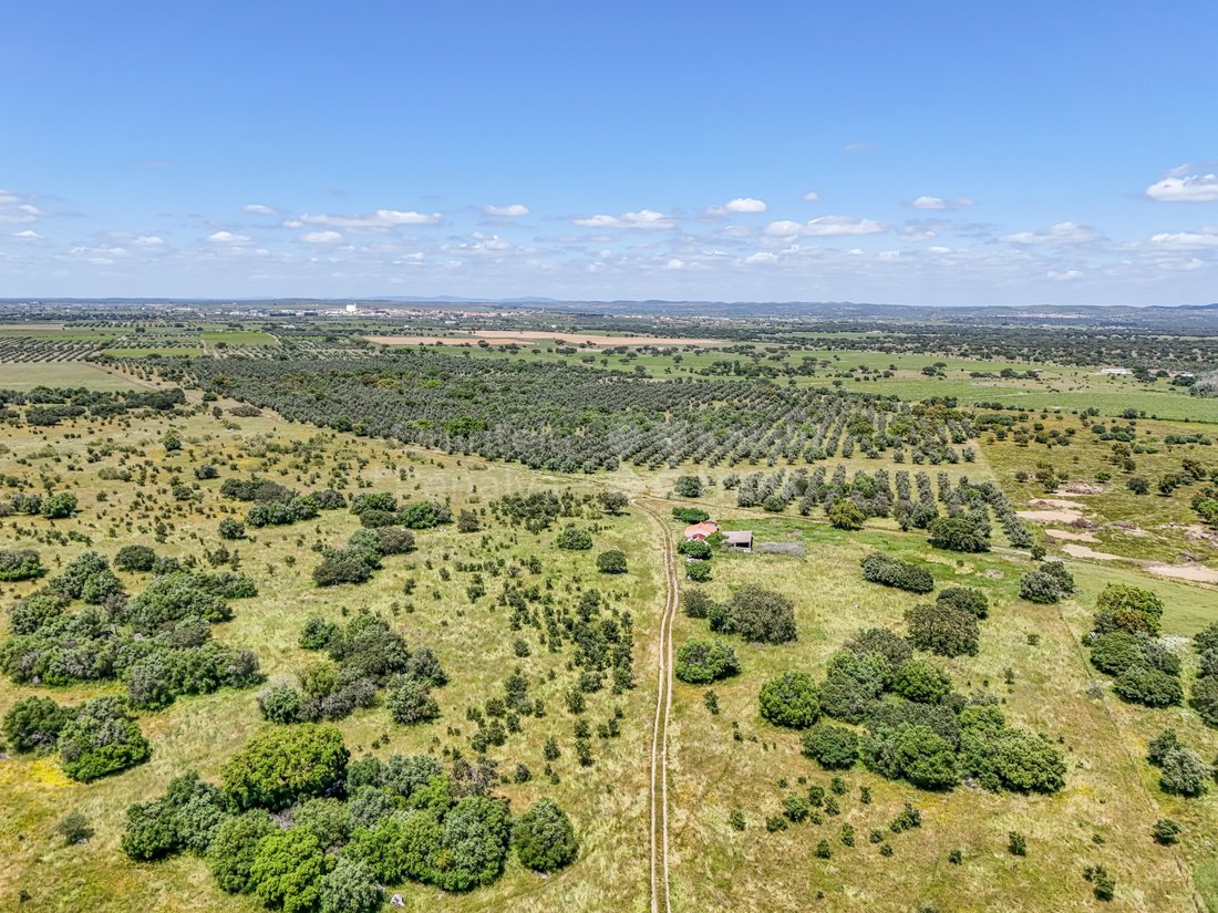 Estate in Reguengos de Monsaraz, Évora District, Portugal 1 - 15606878