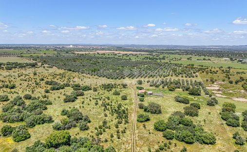 Estate in Reguengos de Monsaraz, Évora District, Portugal 1