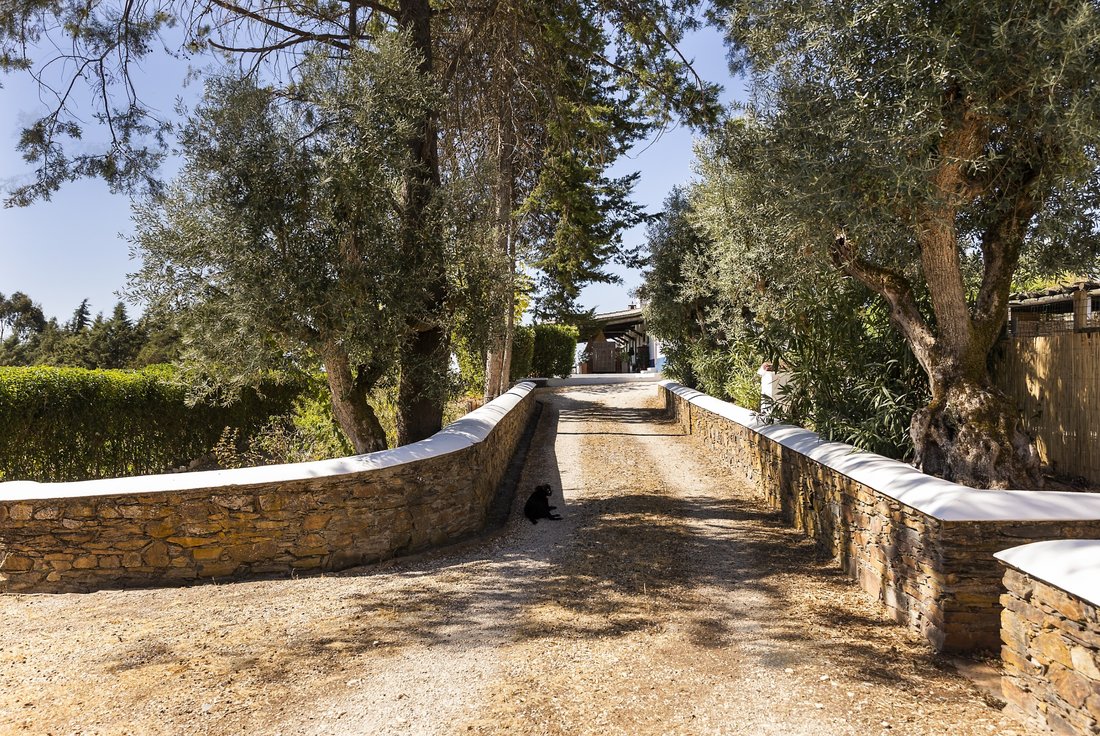 Finca in Estremoz (Santa Maria e Santo Andre), Évora District, Portugal 2 - 16472477
