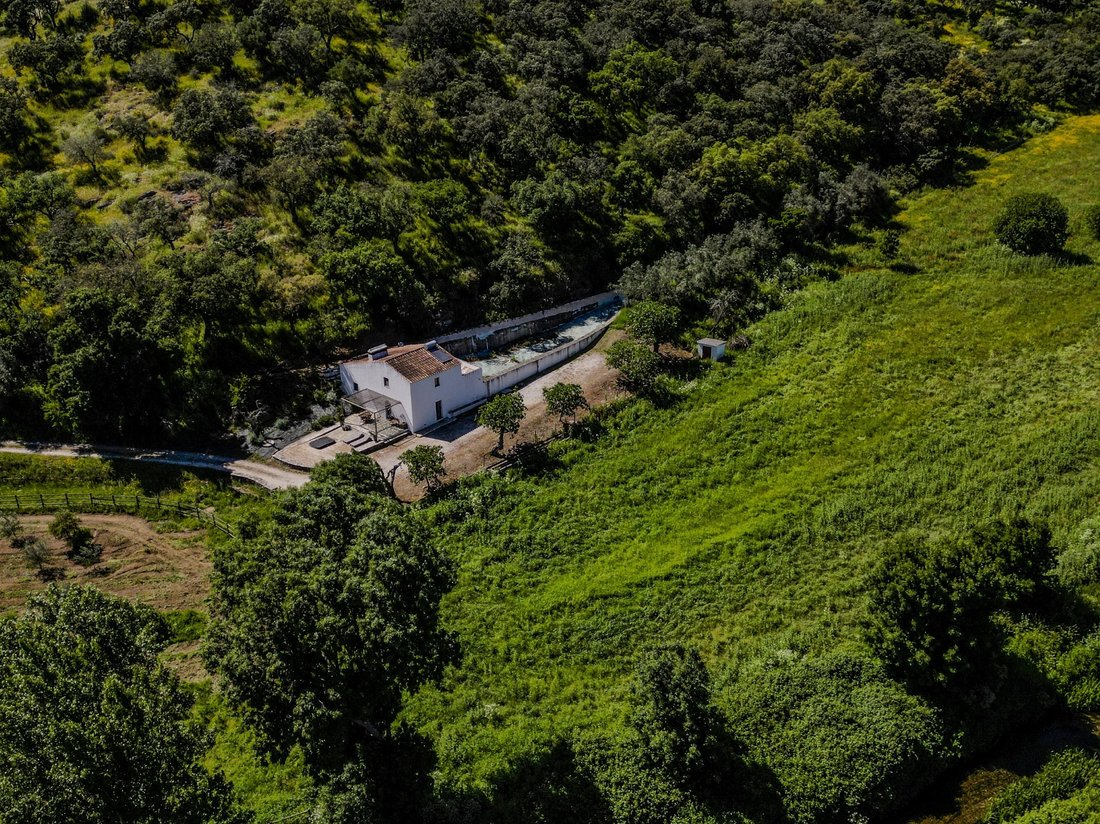 Farm Ranch in Ciladas, Évora District, Portugal 3 - 14995664