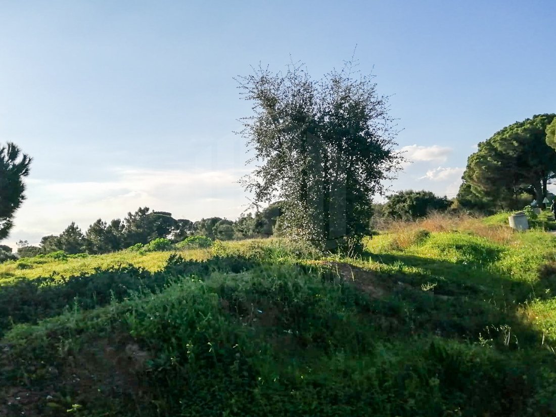 Land in Quinta do Anjo, Setubal, Portugal 3 - 15314207