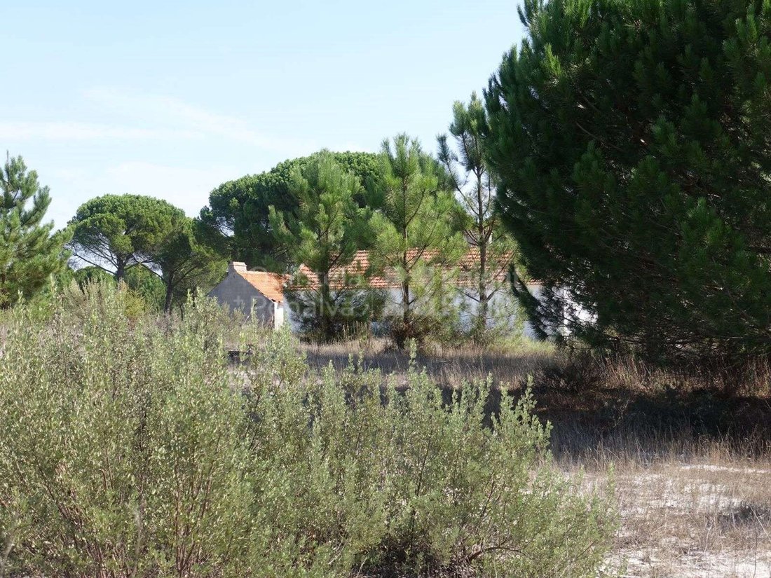 Land in Grandola e Santa Margarida da Serra, Setubal, Portugal 3 - 15015662