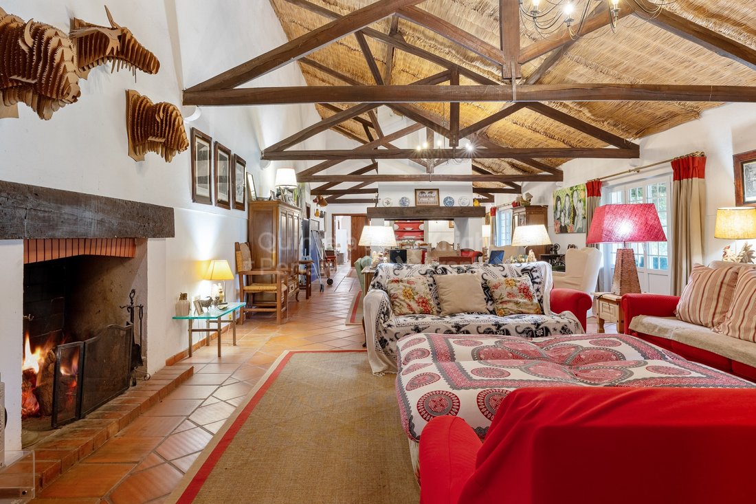 Finca in Almeirim, Santarem District, Portugal 2 - 16472768