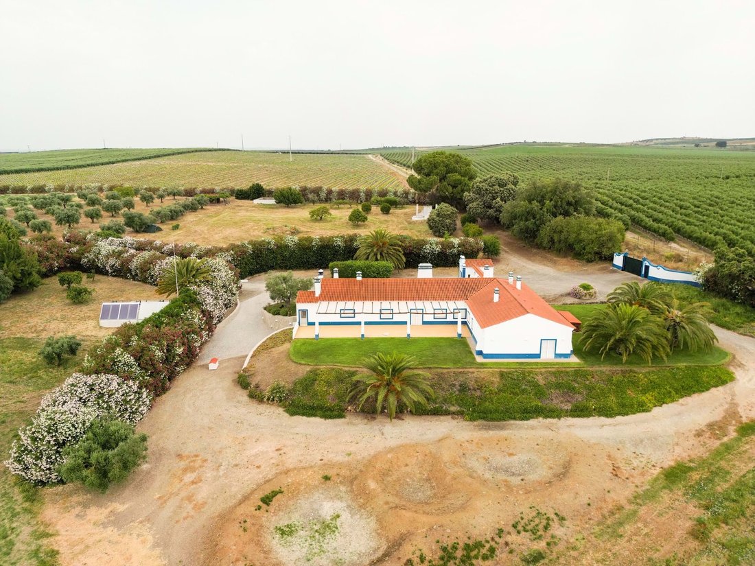 Casa a Ferreira do Alentejo e Canhestros, Distretto di Beja, Portogallo 4 - 14995645