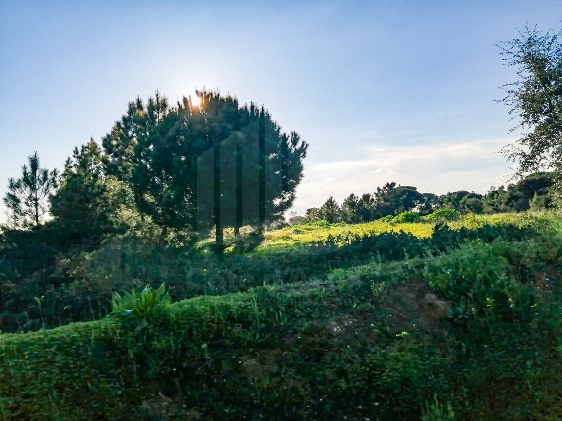Land in Quinta do Anjo, Setubal, Portugal 2 - 15314207