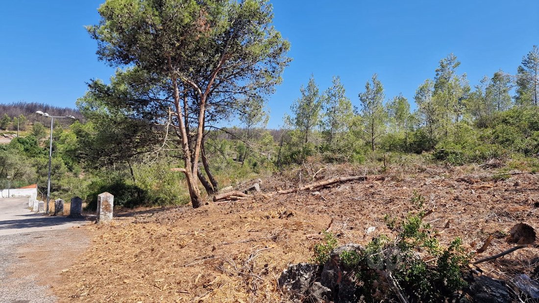 Land in Alcabideche, Lisbon, Portugal 1 - 15946329