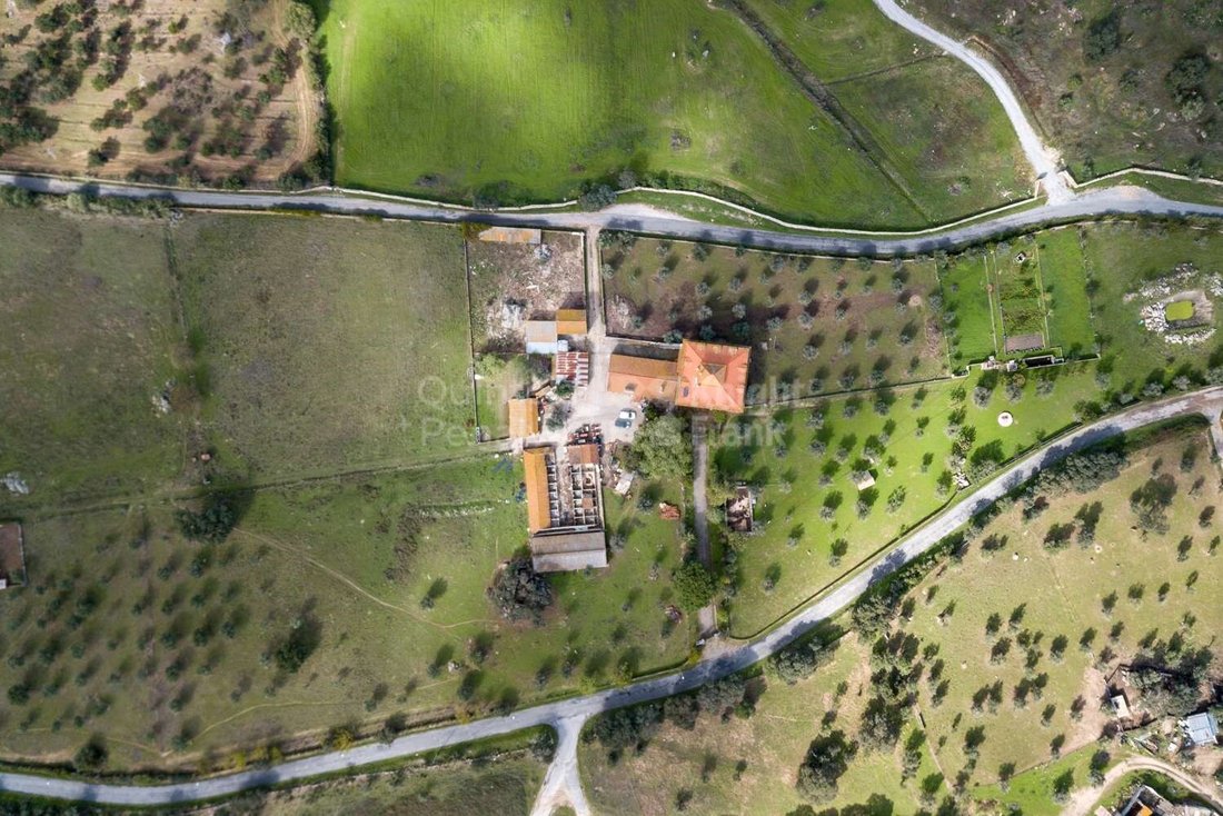 Finca in Evora (Sao Mamede, Se, Sao Pedro e Santo Antao), Évora District, Portugal 3 - 15015753