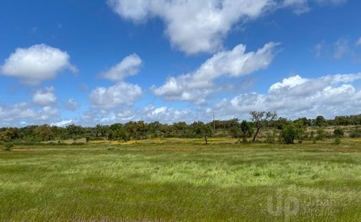 Land in Sines, Setubal, Portugal 1
