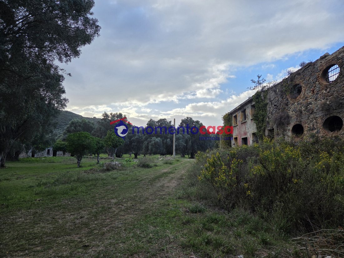 Land in Seminara, Calabria, Italy 3 - 16713799