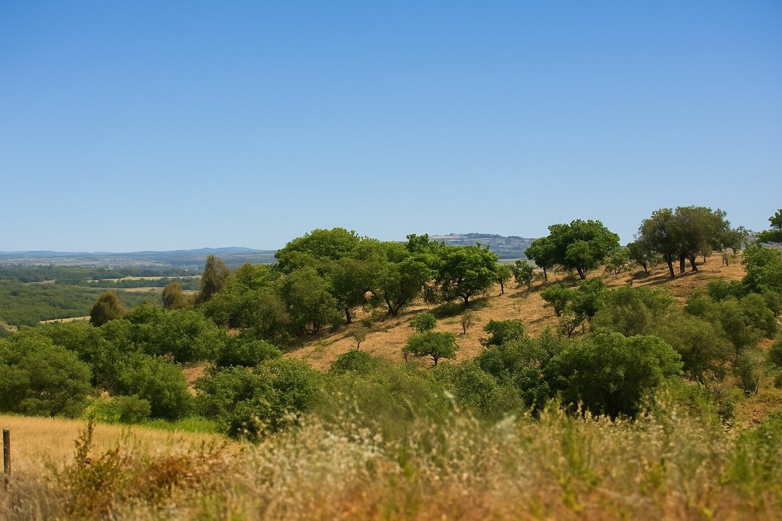 Land in Aldeia Velha, Portalegre District, Portugal 3 - 15896022