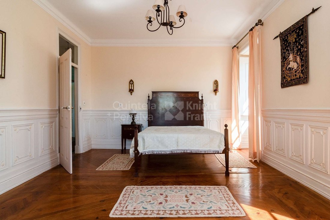 Finca in Meia Via, Santarem District, Portugal 5 - 15015827