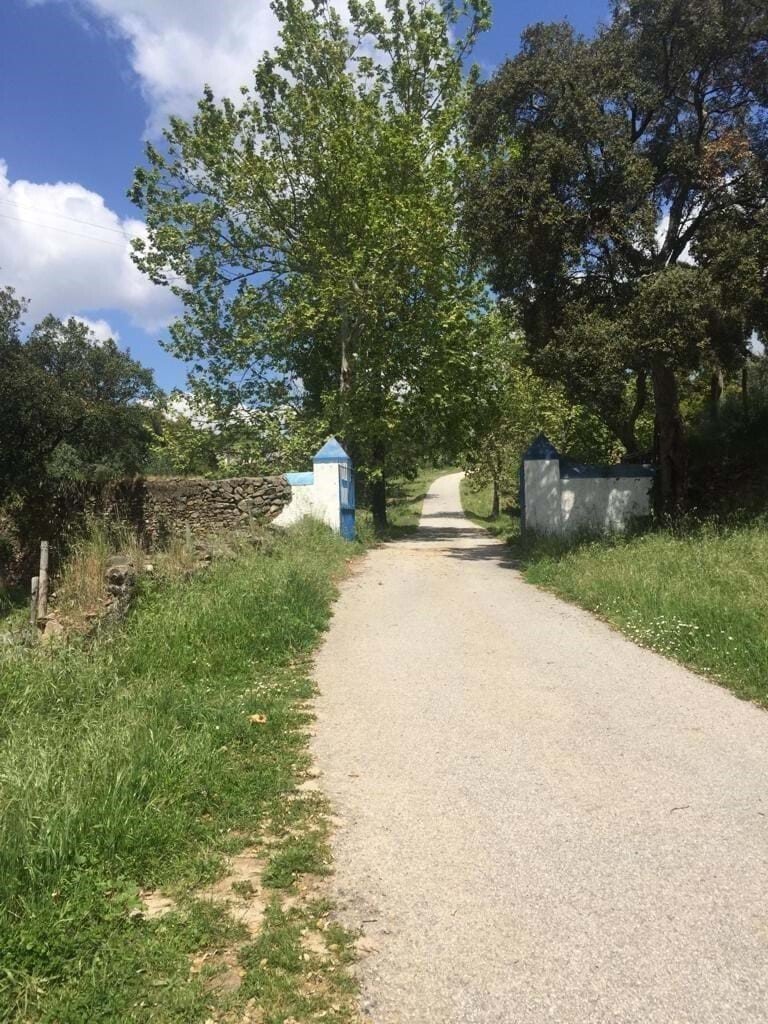 Farm Ranch in Fortios, Portalegre District, Portugal 2 - 14995747