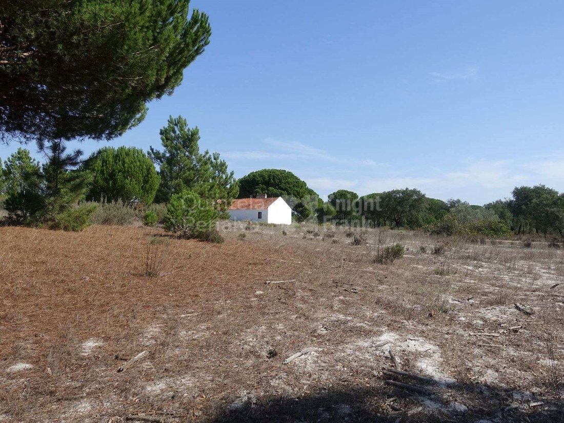 Land in Grandola e Santa Margarida da Serra, Setubal, Portugal 4 - 15015662