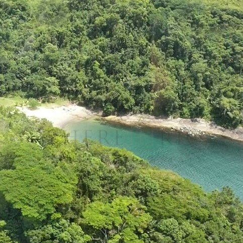 Land in Paraty, State of Rio de Janeiro, Brazil 5 - 12275947