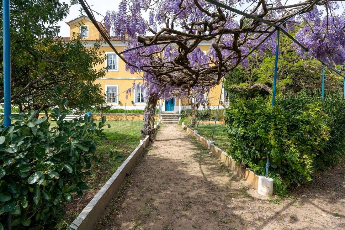 Finca in Valado dos Frades, Leiria District, Portugal 3 - 15015724