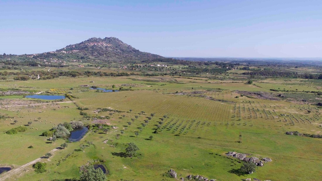 Finca in Monsanto e Idanha-a-Velha, Castelo Branco District, Portugal 3 - 16001252