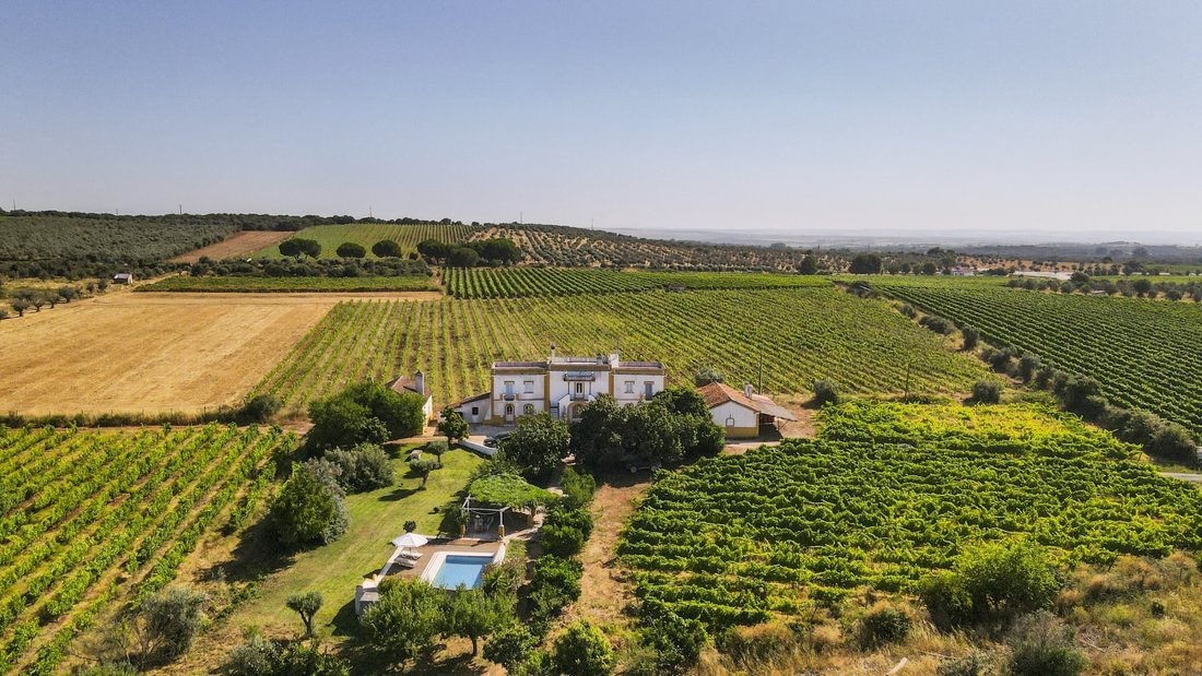 Finca in Estremoz (Santa Maria e Santo Andre), Évora District, Portugal 2 - 14995647