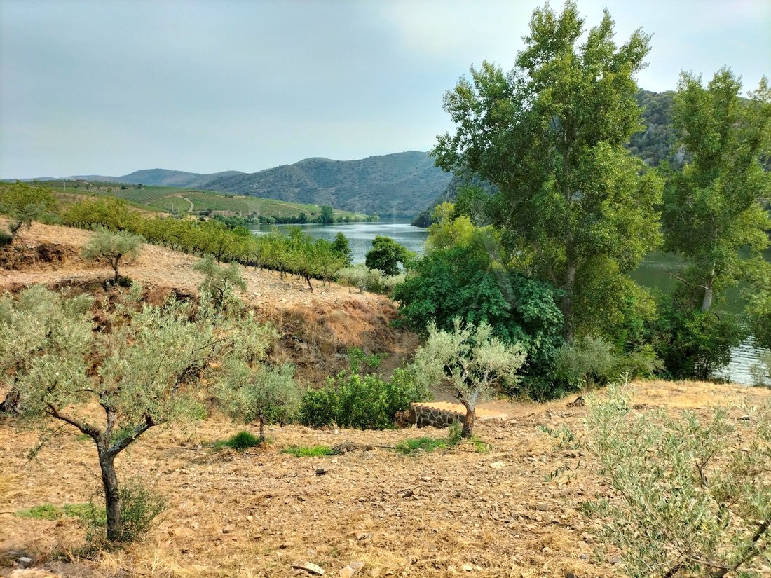 Land in Ligares, Braganca District, Portugal 2 - 12274388