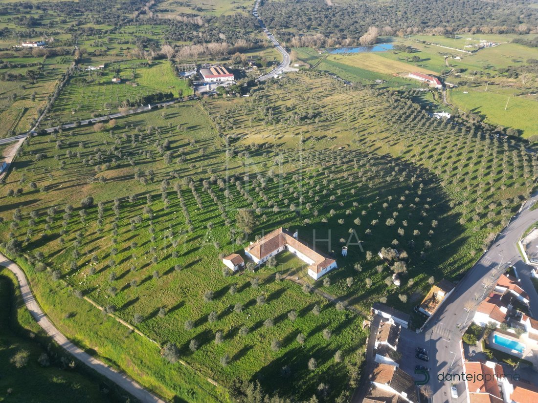 Estate in Arraiolos, Évora District, Portugal 5 - 11980277