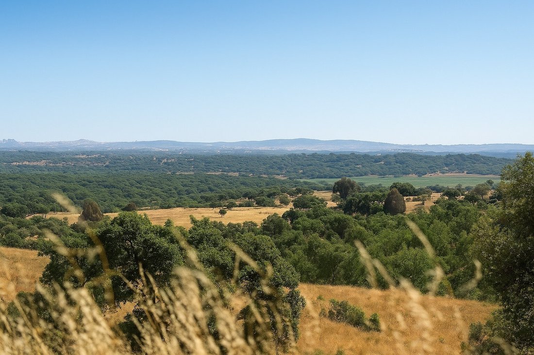 Land in Aldeia Velha, Portalegre District, Portugal 2 - 15896022