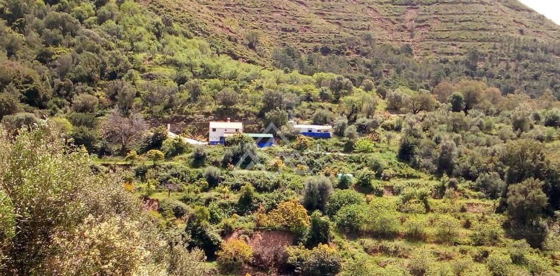 House in Ojen, Andalusia, Spain 1 - 15491634