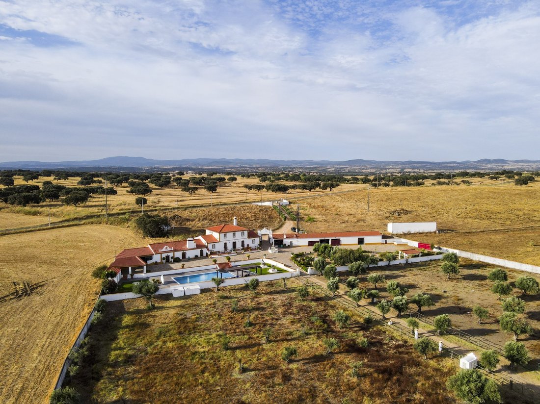 Finca in Se e Sao Lourenco, Portalegre District, Portugal 1 - 14995651