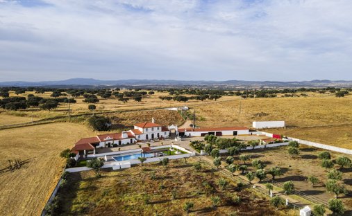 Finca in Se e Sao Lourenco, Portalegre District, Portugal 1