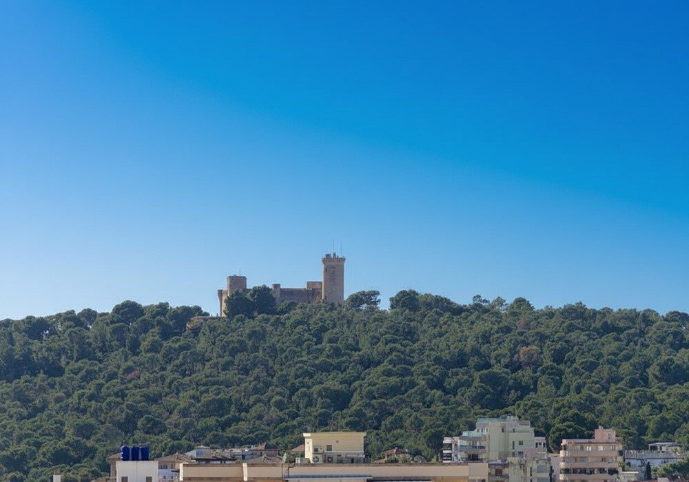 Apartment in Palma, Balearic Islands, Spain 2 - 14315243