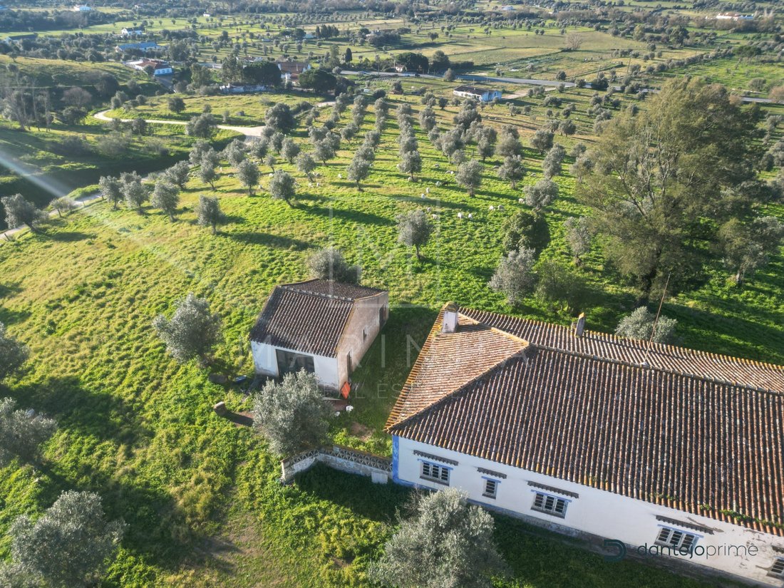 Estate in Arraiolos, Évora District, Portugal 3 - 11980277