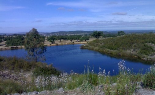 Azienda agricola a Fortios, Distretto di Portalegre, Portogallo 1