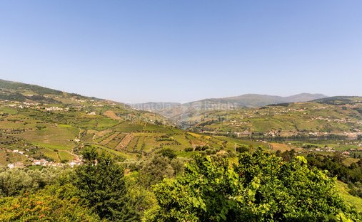 Finca a Sao Cipriano e Vil do Souto, Distretto di Viseu, Portogallo 1