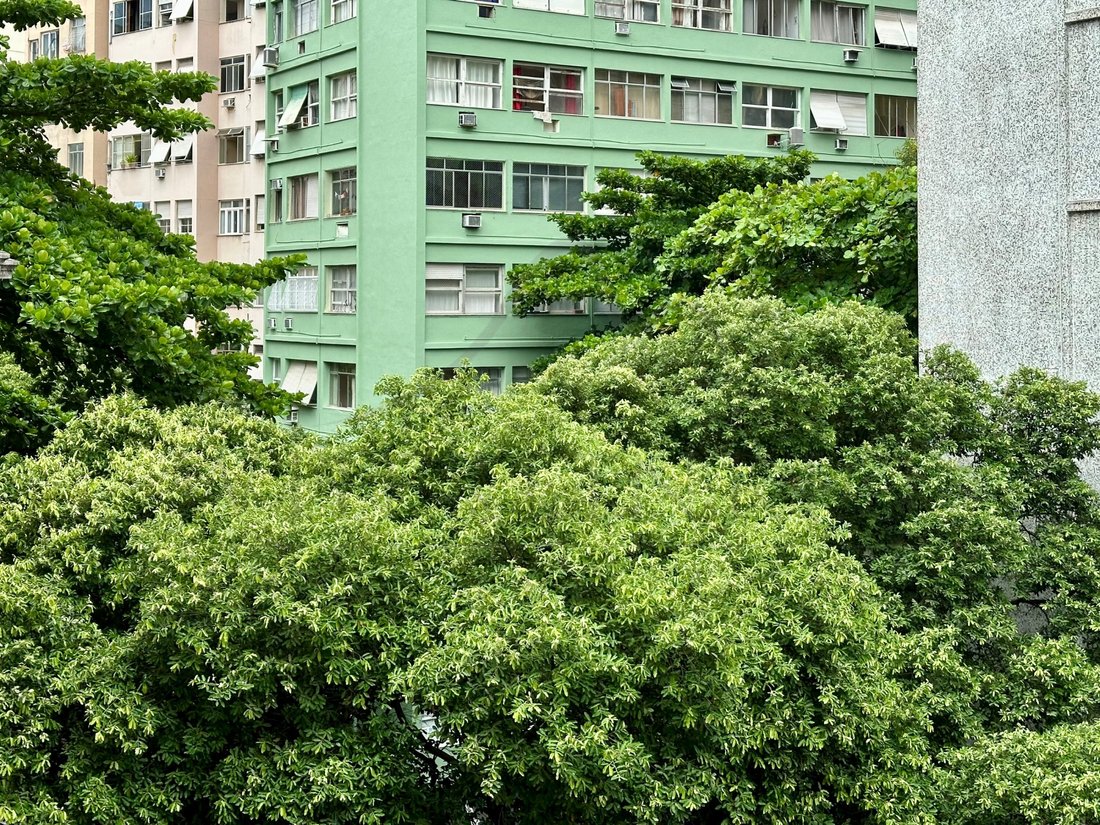 Apartment in Rio de Janeiro, State of Rio de Janeiro, Brazil 2 - 13883293