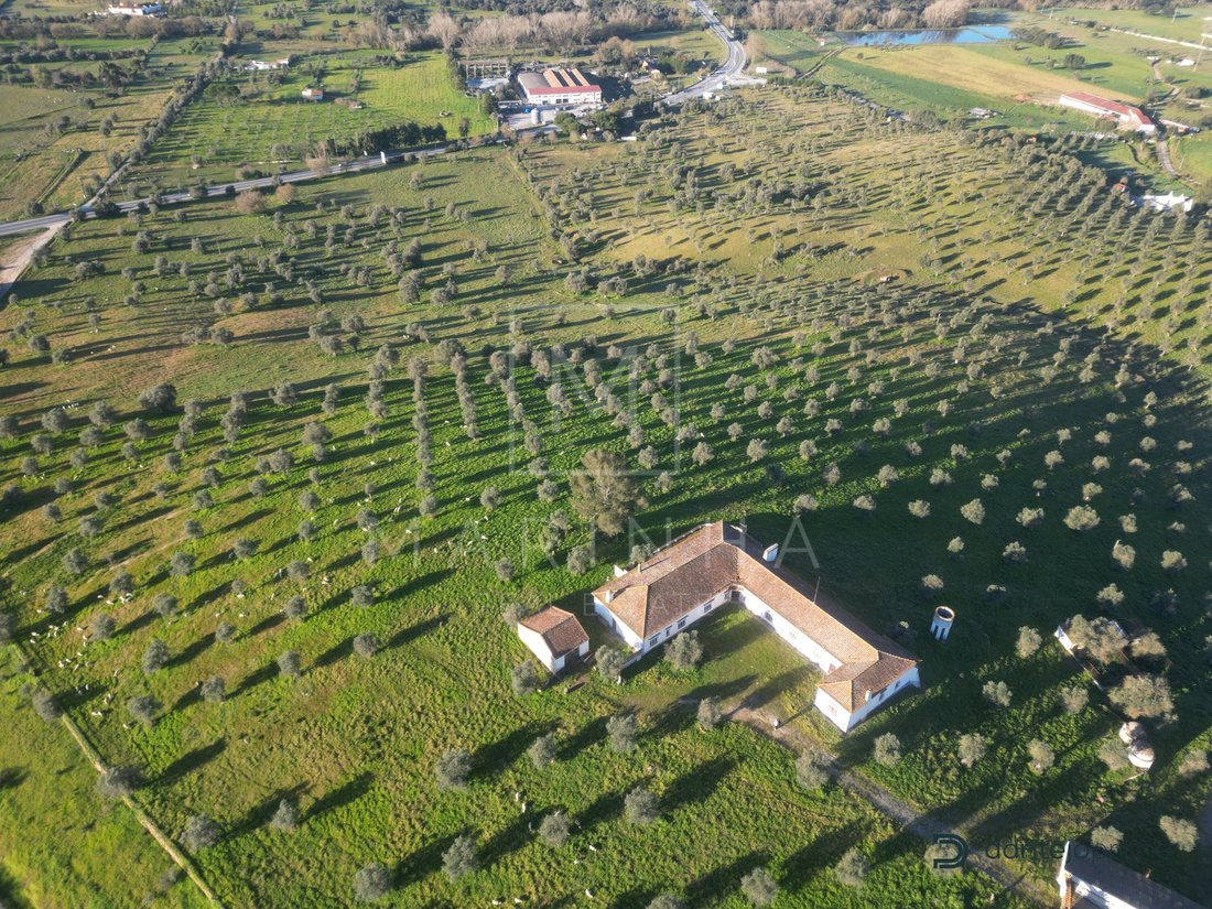 Estate in Arraiolos, Évora District, Portugal 1 - 11980277