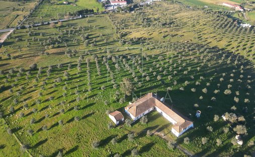 Tenuta a Arraiolos, Distretto di Évora, Portogallo 1
